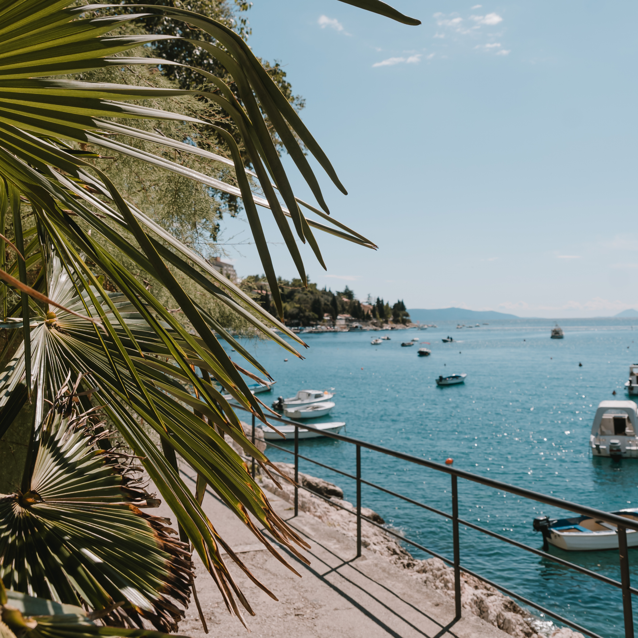 Schrift | Kostenlos | Design | Google Fonts