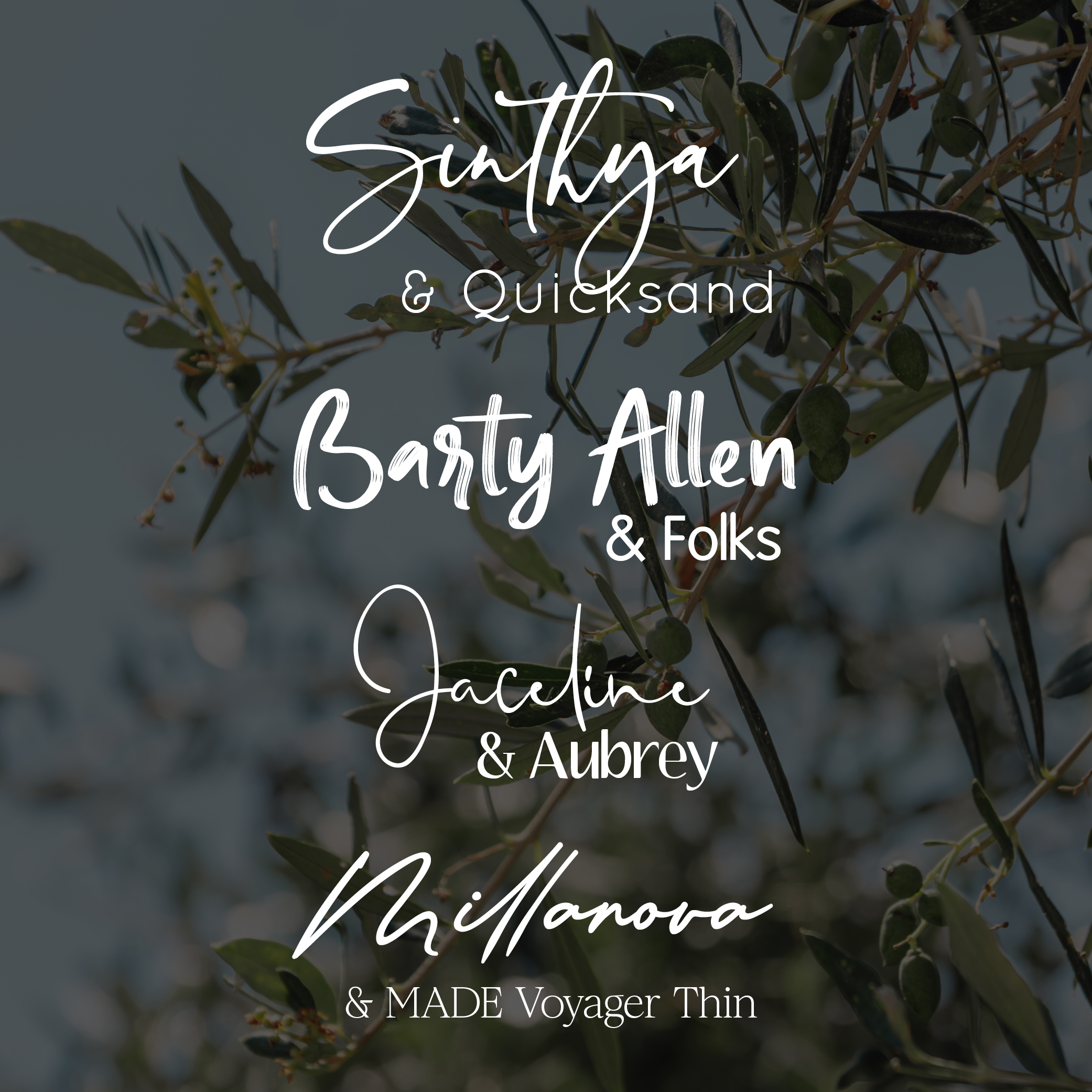 Schrift | Kostenlos | Design | Google Fonts