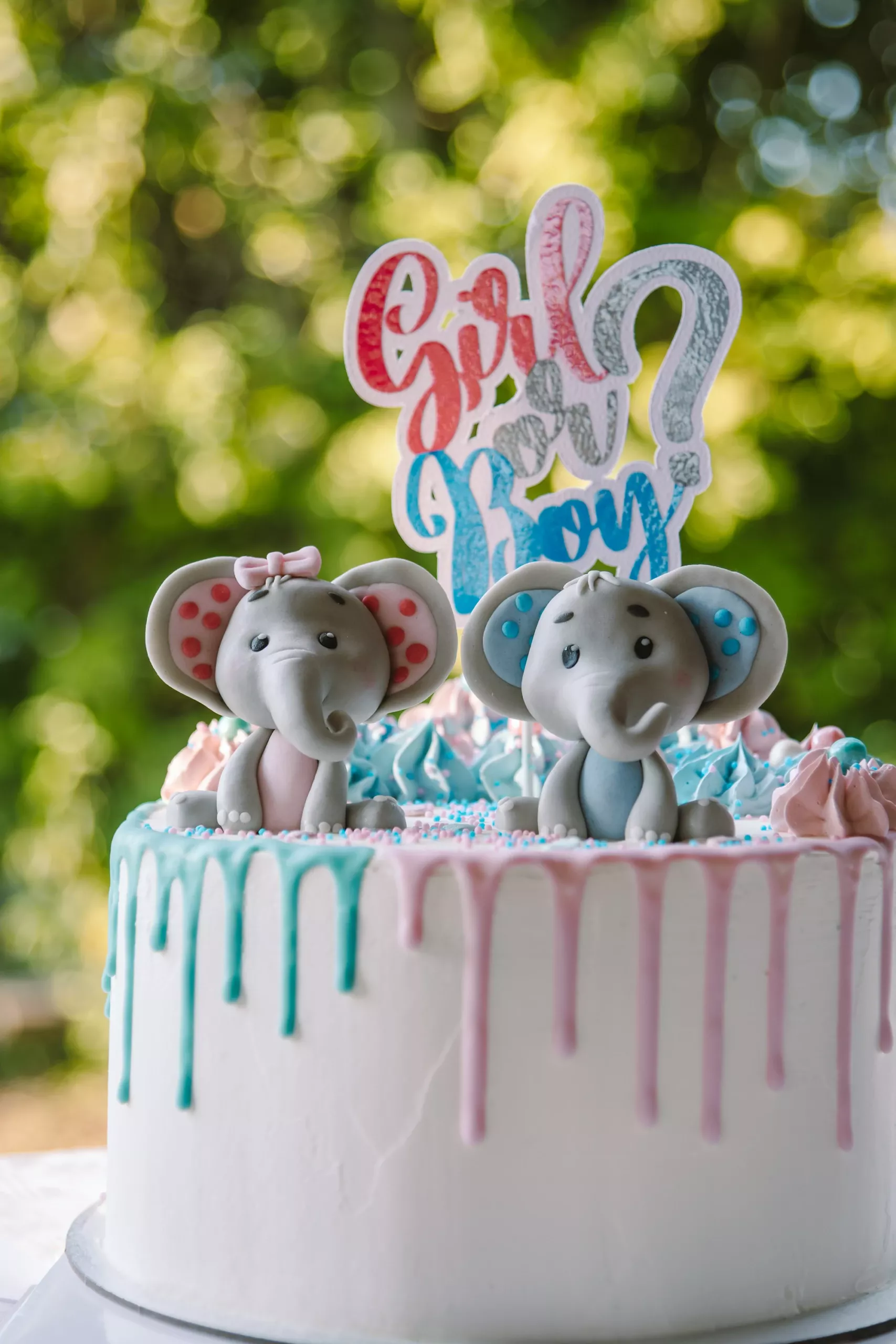 Fotograf Design Westerwald